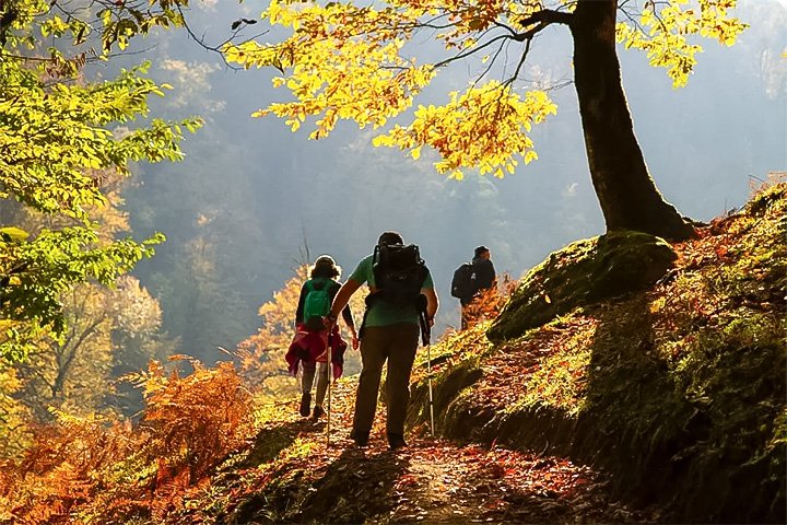 Hiking