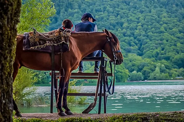 Horseback Riding 1 1