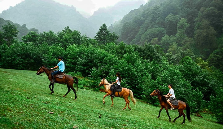 Horseback Riding